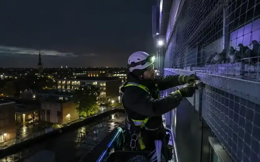 bird control services near me